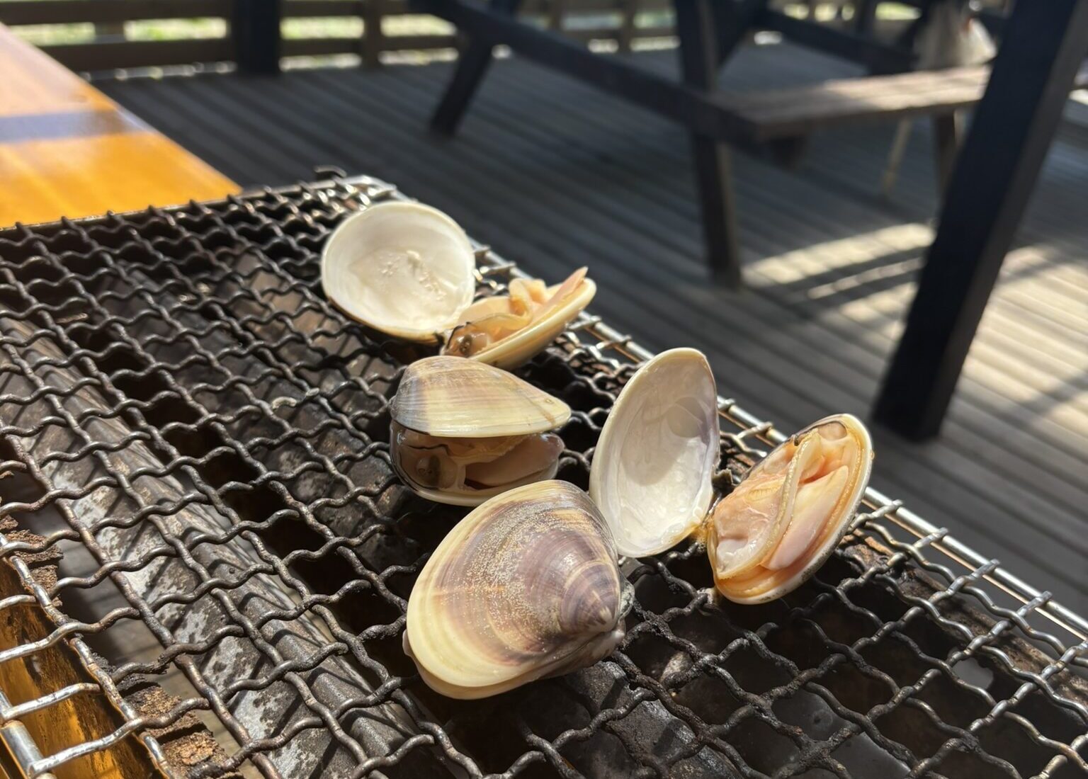 浜茶屋 向島の焼きはまぐり
